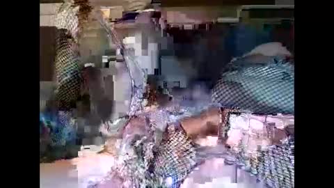 driver187 online show from 19, 12, 2024