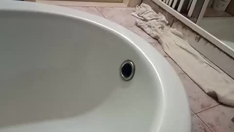 dthedog12 online show from 9, 11, 2025