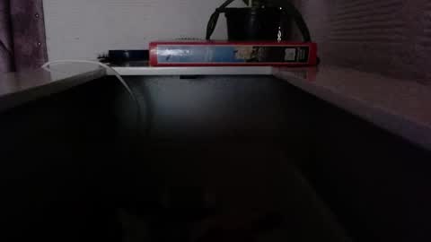 dulce_smith02 online show from 24, 11, 2025