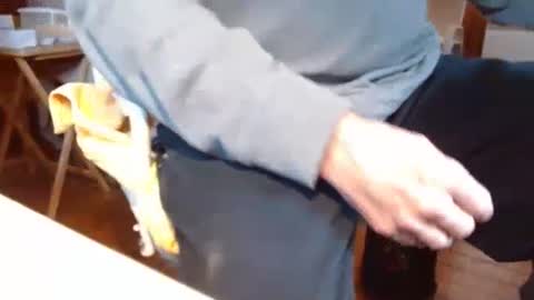 dunany101 online show from 16, 1, 2025