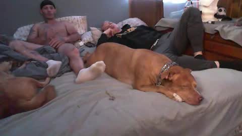 dustinwyant1983 online show from 8, 11, 2025