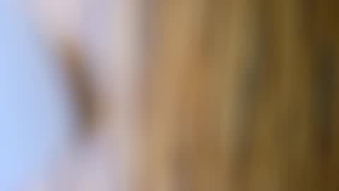 dVe1oPe online show from 17, 10, 2025