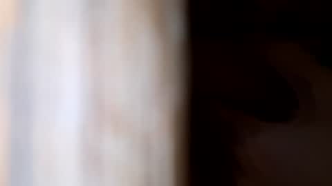 Snapshot of dvelope chatting on 15, 6, 2026 dVe1oPe online show from 15, 6, 2026