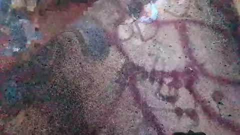 dwadek081704 online show from 2, 11, 2025