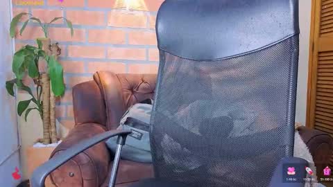 D Y L A N online show from 6, 3, 2026