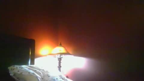 Dynasty online show from 5, 12, 2024