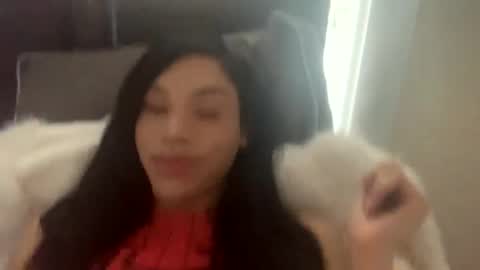 Dynasty online show from 4, 2, 2025