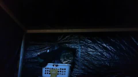 Snapshot of ebear1 chatting on 27, 2, 2025 ebear1 online show from 27, 2, 2025