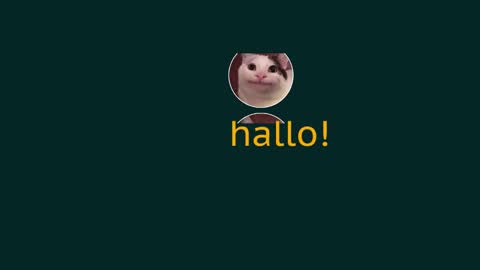 Snapshot of eblidator chatting on 29, 12, 2024 Vaco Eblidator online show from 29, 12, 2024