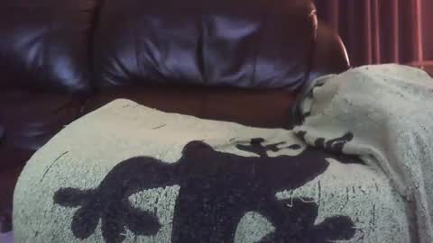 Ectopicstarfish online show from 13, 12, 2024