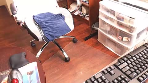 edginginedmonton online show from 16, 4, 2026