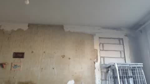 Snapshot of edifox chatting on 12, 2, 2025 Alexander online show from 12, 2, 2025