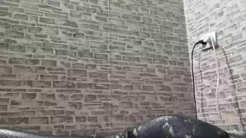 edithmanning online show from 6, 3, 2025