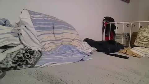 EdM online show from 12, 2, 2026