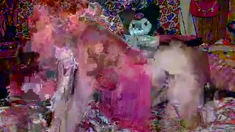 Sparkly Haile online show from 18, 2, 2025