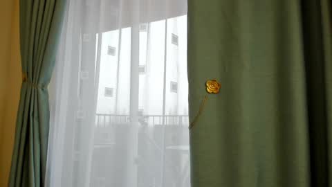 Ela online show from 22, 1, 2025