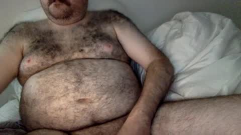 elabear online show from 26, 7, 2026