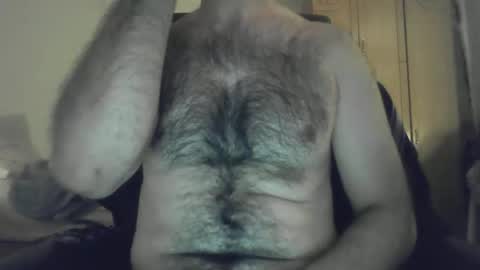 Elastik6 online show from 8, 1, 2026