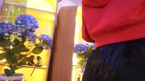 Elasummeer online show from 12, 1, 2026