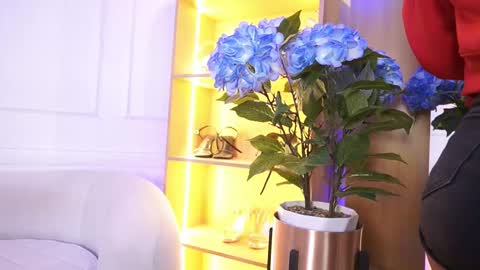 Elasummeer online show from 14, 1, 2026