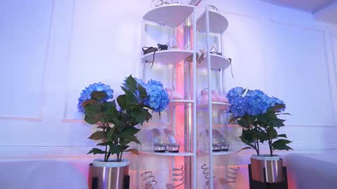 Snapshot of elasummeer chatting on 13, 2, 2026 Elasummeer online show from 13, 2, 2026