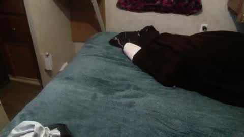 ElegantDeviance69 online show from 19, 12, 2024