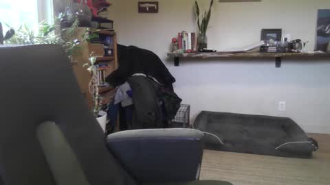 fox online show from 22, 2, 2026