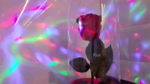 elevate_mindset online show from 2, 10, 2025