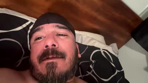 elgatonegrodelah online show from 31, 3, 2026