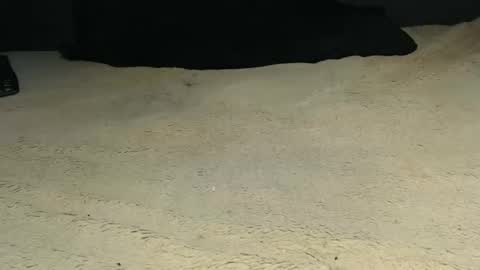 elgsslt online show from 9, 4, 2026