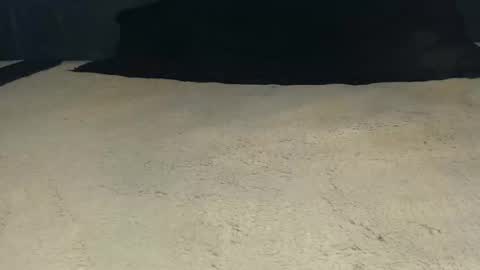 elgsslt online show from 21, 4, 2026