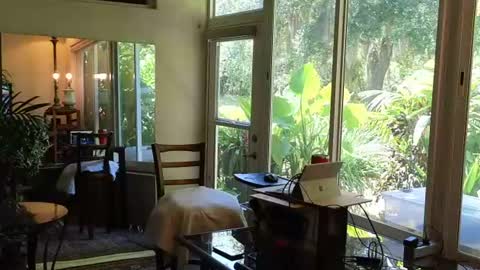 Snapshot of eliberator chatting on 28, 6, 2026 eliberator online show from 28, 6, 2026