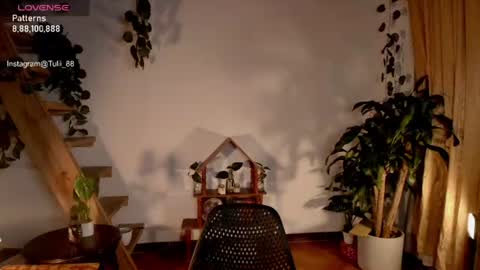 Tuli online show from 22, 6, 2026