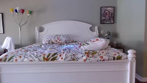 ellalowe online show from 18, 3, 2026