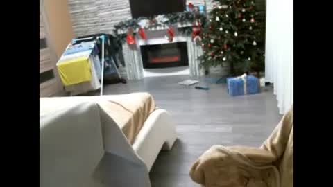 EliMoL online show from 7, 2, 2025