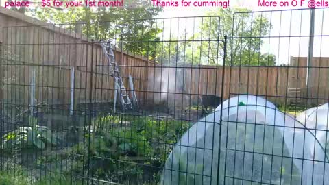 Snapshot of ells_palace chatting on 1, 6, 2026 Ella Bella Bo Bella online show from 1, 6, 2026