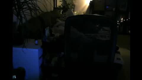 ElMetaTeDa online show from 9, 3, 2026