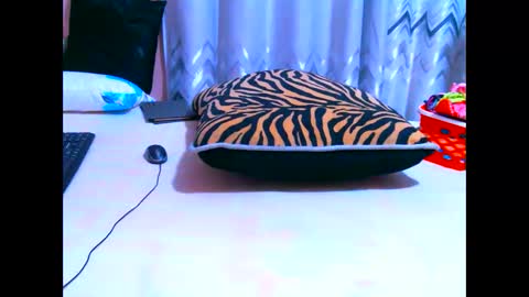 Snapshot of elodielynn chatting on 19, 5, 2026 elodielynn online show from 19, 5, 2026