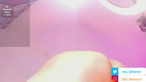 Snapshot of elsiemorrison chatting on 31, 3, 2026 elsiemorrison online show from 31, 3, 2026