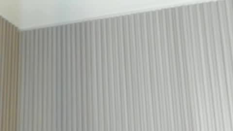 Snapshot of emelie_89 chatting on 21, 4, 2026 emelie_89 online show from 21, 4, 2026