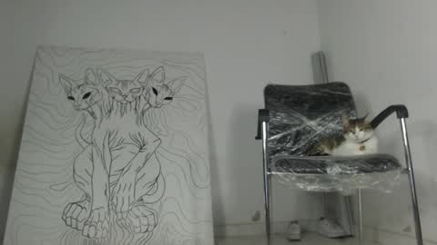 Antonella  online show from 17, 3, 2026