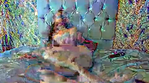 Snapshot of emigomez_ chatting on 27, 2, 2025 Emilia Gomez online show from 27, 2, 2025