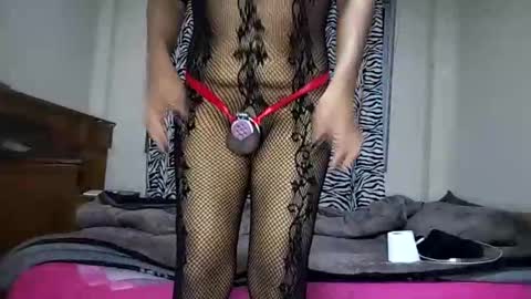 emiliatrap online show from 27, 1, 2025