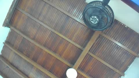 Emily  online show from 16, 1, 2026