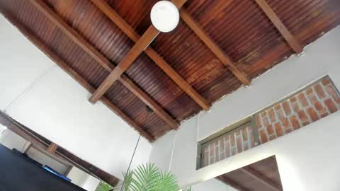 Emily  online show from 17, 4, 2026