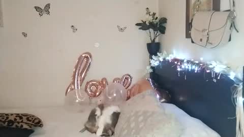 Valentina independent model online show from 25, 11, 2025