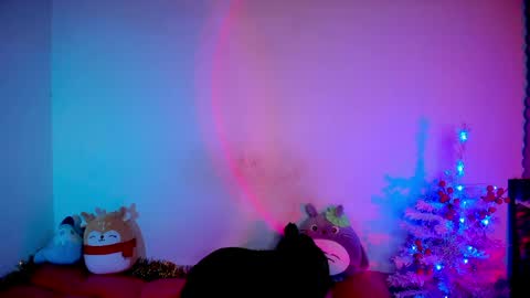 RH-NEGATIVE GREEN-EYED BAELIEN online show from 31, 3, 2026