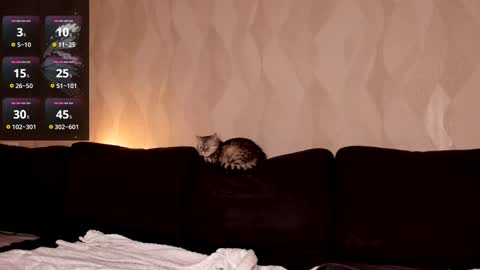 Shaiya online show from 2, 3, 2025