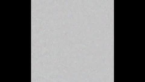 Emily online show from 13, 10, 2025