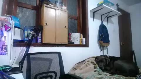 Snapshot of esjrobles chatting on 10, 2, 2025 Esteban online show from 10, 2, 2025